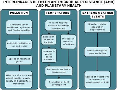 Addressing AMR and planetary health in primary care: the potential of general practitioners as change agents